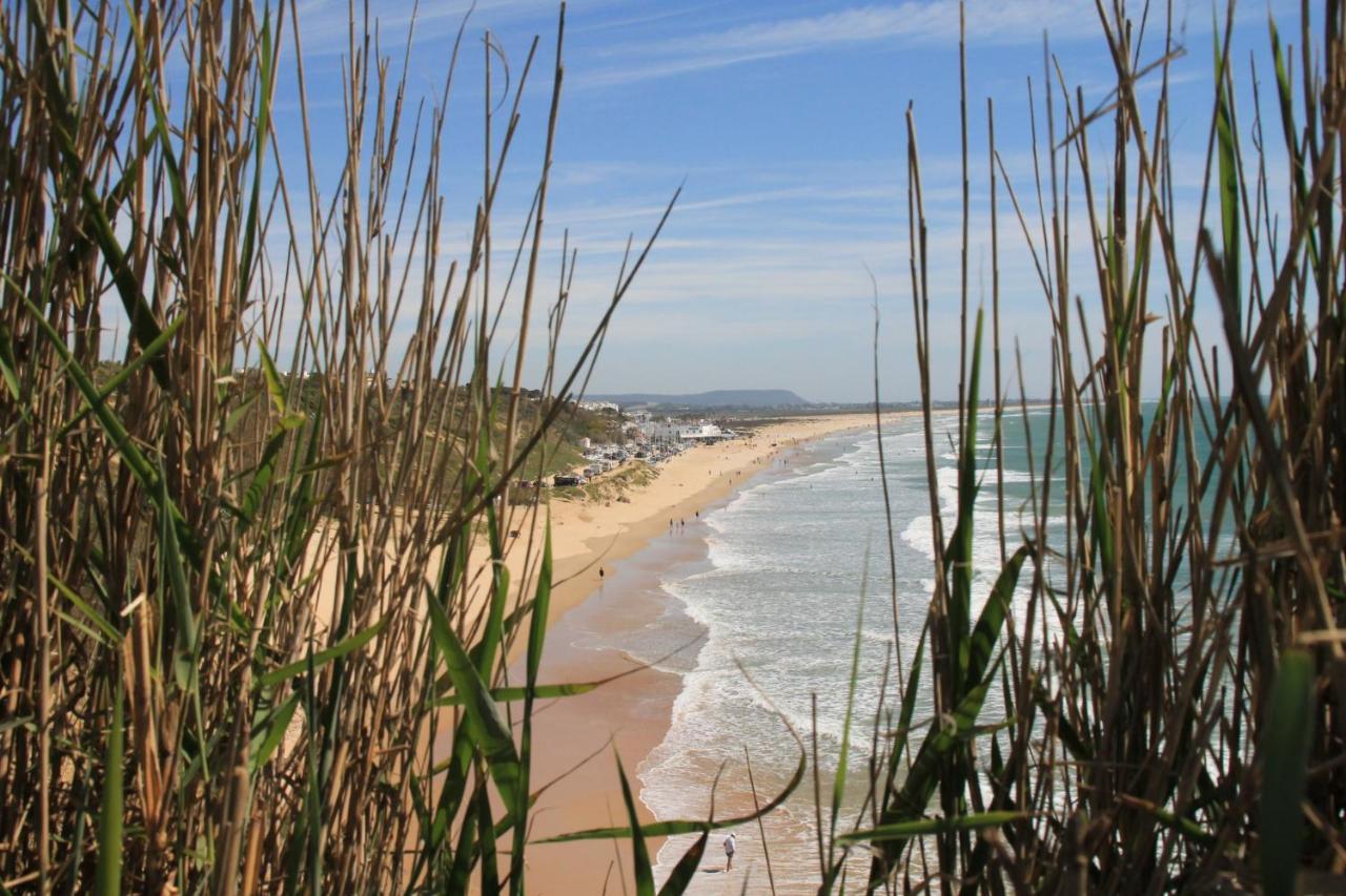 Estudio En El Centro De Conil Conil De La Frontera Eksteriør bilde