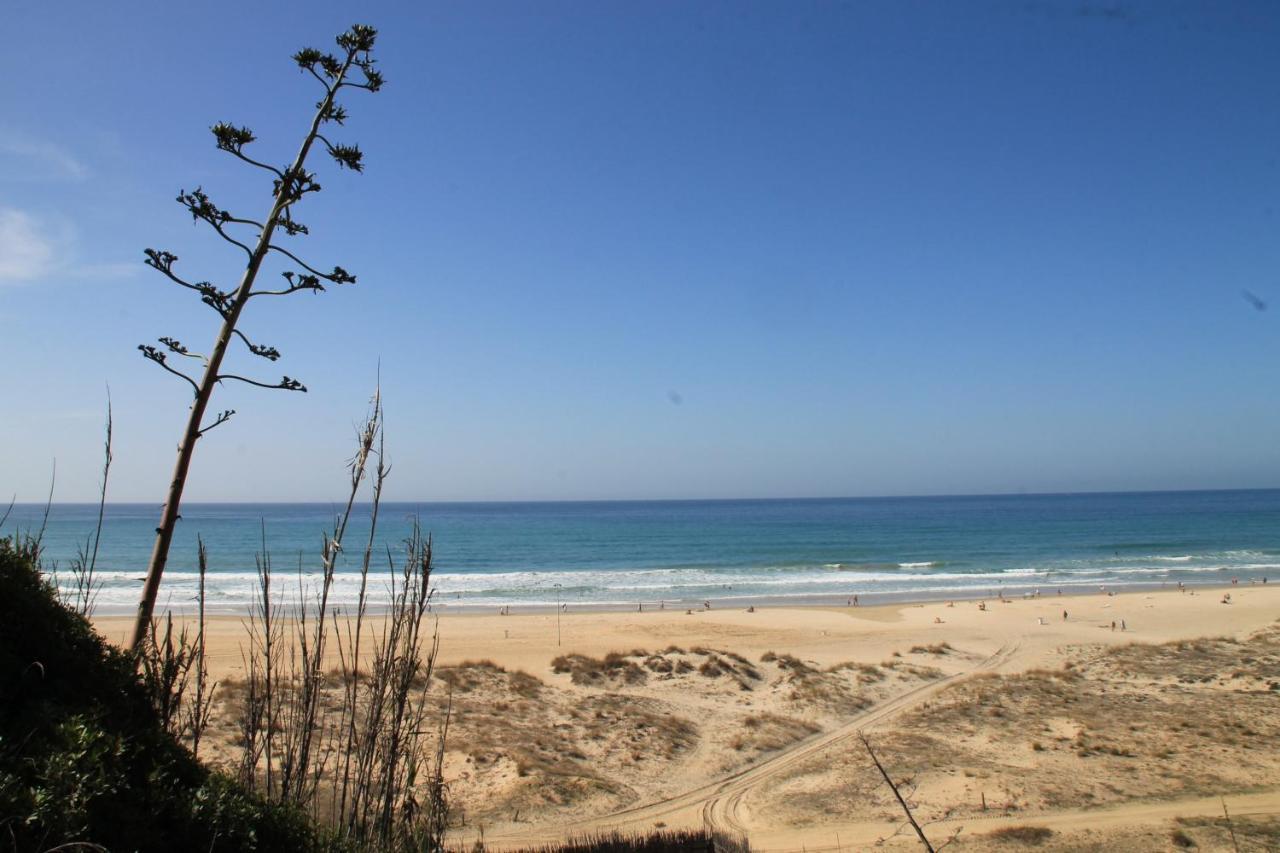 Estudio En El Centro De Conil Conil De La Frontera Eksteriør bilde